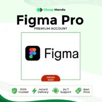 Figma Pro in Nepal