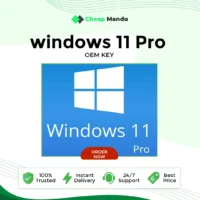 Windows 11 pro in Nepal